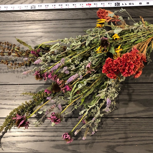 #6~Dried Flowering Herbs Bundle~Echinacea Mint Cockscomb Dock~Farmhouse Decor - Picture 1 of 7